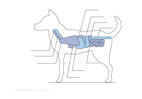 生々しい表現を和らげるイラスト